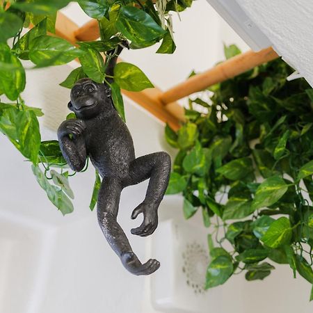 Dimora Lavinia Casa Vacanze Centro Storico Ostuni Zewnętrze zdjęcie