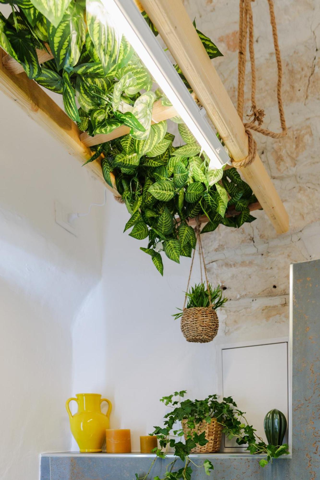 Dimora Lavinia Casa Vacanze Centro Storico Ostuni Zewnętrze zdjęcie